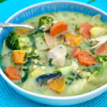Chicken and Mixed Vegetable Soup